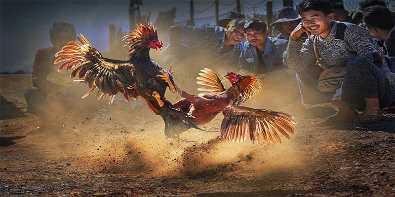 vn58 đăng nhập roulette số 1