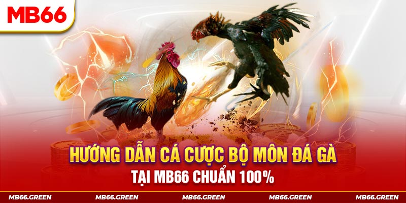 vn58 xổ số bình định