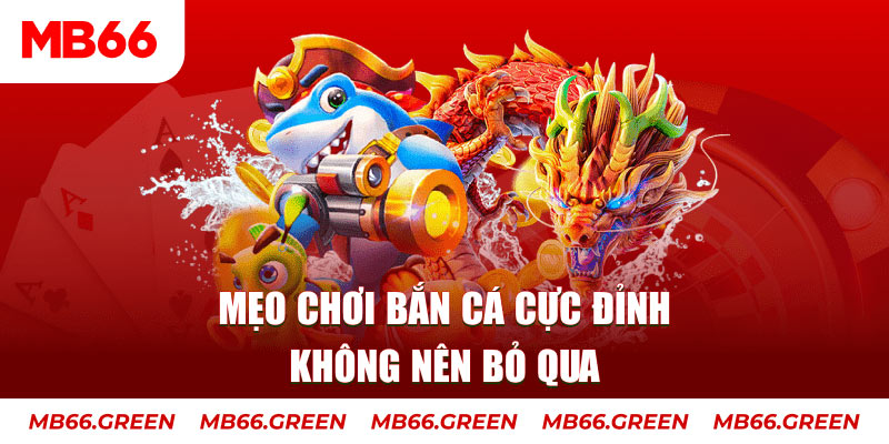 vn58 casino ở đâu