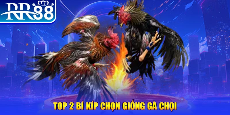 vn58 đăng nhập roulette dễ thắng