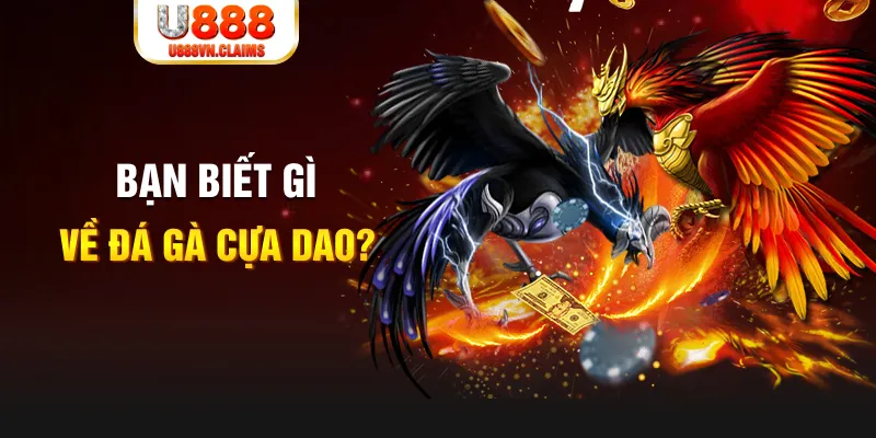 vn58 xổ số kiến thiết