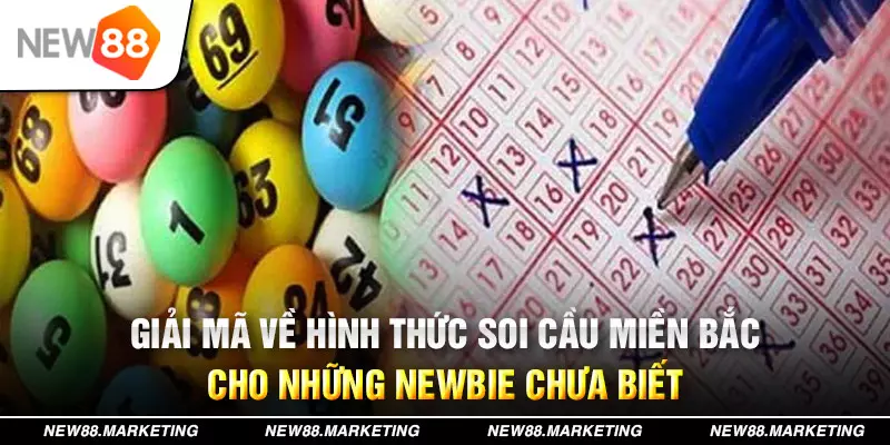 vn58 đăng nhập mậu binh live