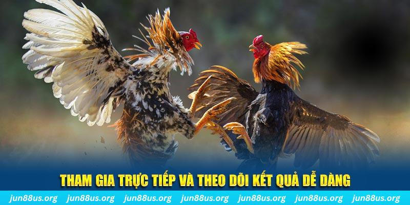 vn58 đá gà trực tiếp bình luận viên