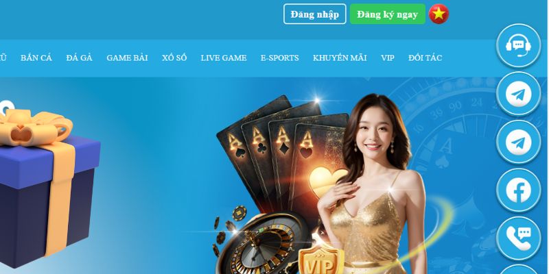 vn58 slot là gì dịch