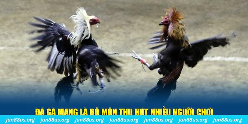 vn58 xổ số cà mau