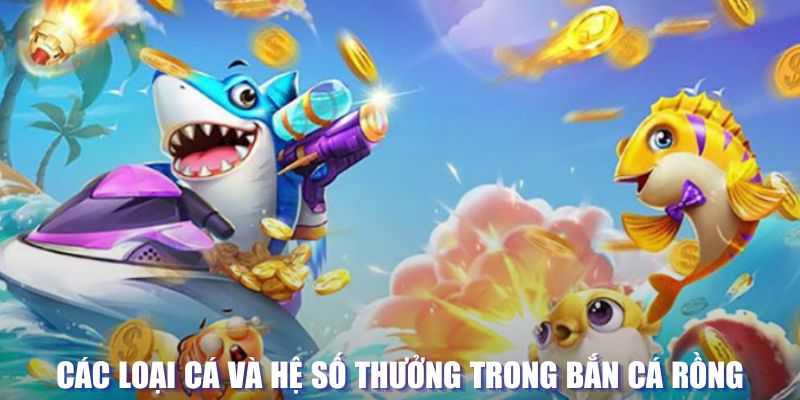 vn58 loi game dot kich ket noi may chu that bai