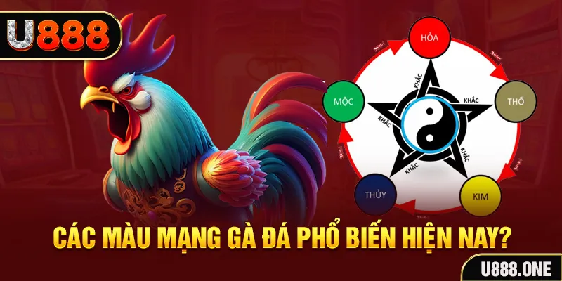 vn58 đăng nhập mậu binh