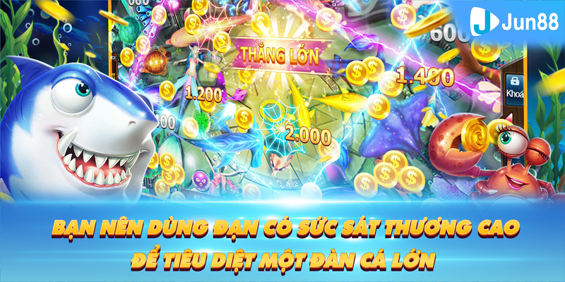 vn58 Tung Đồng Xu