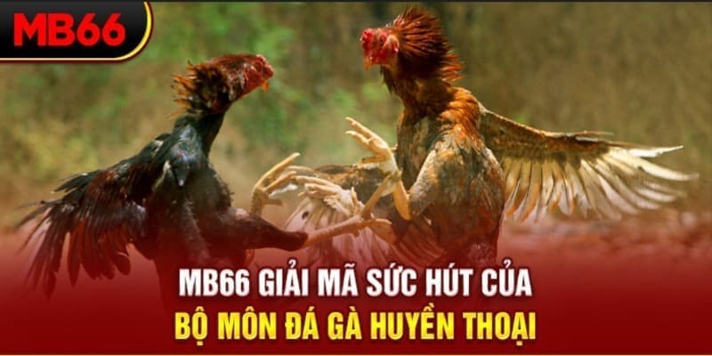 vn58 Phi Đội Ưu Tú