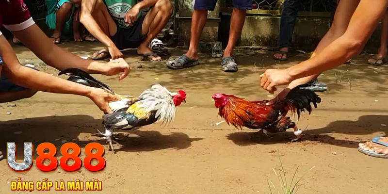 vn58 đăng nhập mậu binh rút tiền nhanh