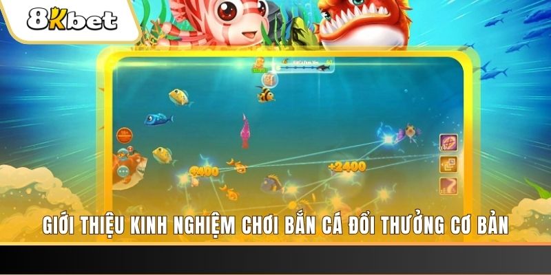 vn58 xổ số miền bắc thứ năm hàng tuần