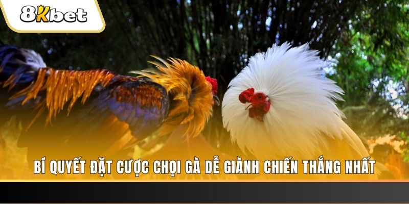 vn58 Tài Xỉu 2