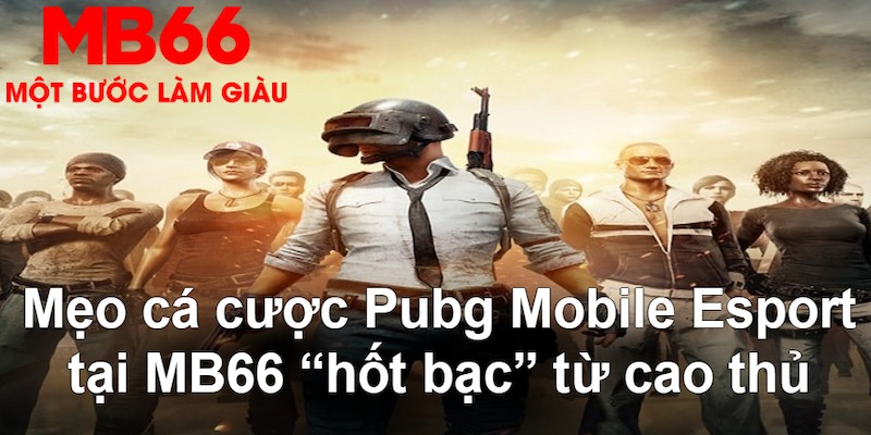vn58 gà chọi mộc hóa
