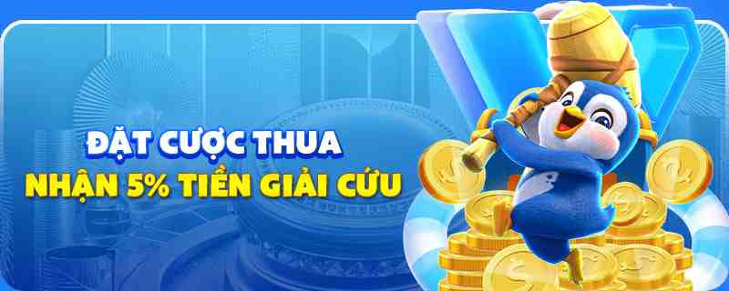 vn58 gà chọi cu cần