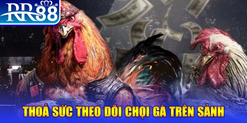 vn58 đá gà 88.com