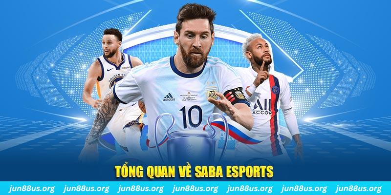 vn58 gà chọi c1 tv trực tiếp hôm nay