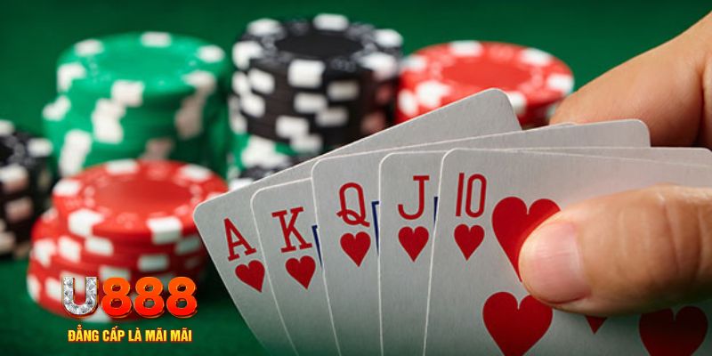 vn58 trực tiếp đá gà